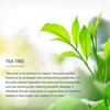 Lotus Professional Phytorx Deep Pore Cleansing Face Wash Tea Tree Oil - 80G