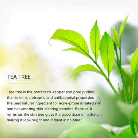 Lotus Professional Phytorx Deep Pore Cleansing Face Wash Tea Tree Oil - 80g