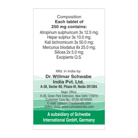 Dr. Willmar Schwabe India Alpha - Tons Tonsillitis 20gm
