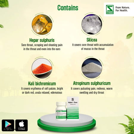 Dr. Willmar Schwabe India Alpha - Tons Tonsillitis 20gm