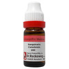 Dr. Reckeweg Sanguinaria Canadensis Dilution 200 Ch 11 Ml
