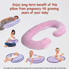 Femzy Pregnancy & Breastfeeding Pillow (Pink) 2500g