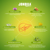 Medisynth Jondila Forte | Homeopathic Tonic For Hepatic Function & Digestion | B.no.1405 | 120Ml X2