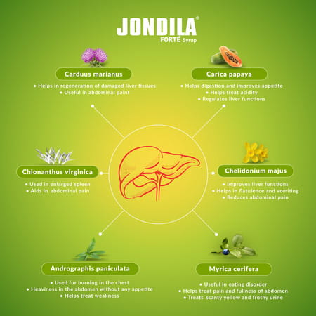 Medisynth Jondila Forte | Homeopathic Tonic For Hepatic Function & Digestion | B.no.1405 | 120Ml X2