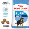 Royal Canin Maxi Puppy Food | 1 Kg | Dry Food | Supports Immune System & Digestive Health