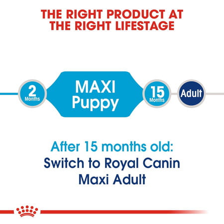 Royal Canin Maxi Puppy Food | 1 Kg | Dry Food | Supports Immune System & Digestive Health