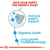 Royal Canin Maxi Puppy Food | 1 Kg | Dry Food | Supports Immune System & Digestive Health