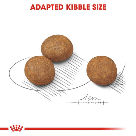 Royal Canin Maxi Puppy Food | 1 Kg | Dry Food | Supports Immune System & Digestive Health