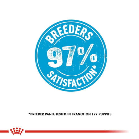 Royal Canin Maxi Puppy Food | 1 Kg | Dry Food | Supports Immune System & Digestive Health
