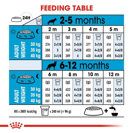 Royal Canin Maxi Puppy Food | 1 Kg | Dry Food | Supports Immune System & Digestive Health