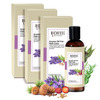 Oil For Hair Loss 100 Ml Pack Of 3
