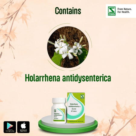 Dr. Willmar Schwabe India Holarrhena Antidysenterica 1X 20Gm