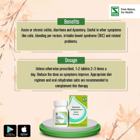Dr. Willmar Schwabe India Holarrhena Antidysenterica 1X 20Gm