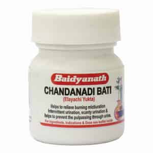 Baidyanath Asli Ayurved Chandanadi Bati Elayachi Yukta - 40 Tablets
