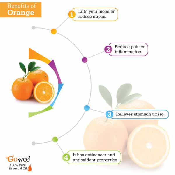 Pack Of 2 Orange Essential Oil & Aloe Vera Carrier Oil - 100% Pure & Natural Oil
