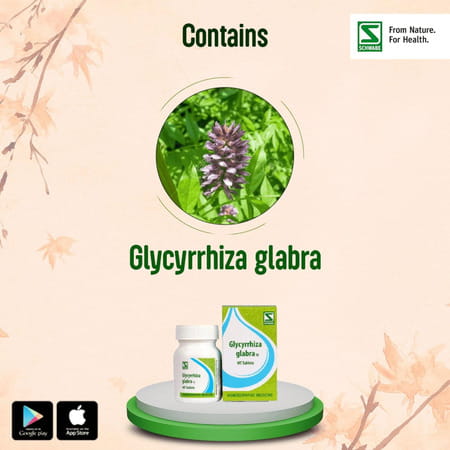 Dr. Willmar Schwabe India Glycyrrhiza Glabra 1X 20Gm