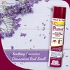 Dr. Morepen Protect All In One Disinfectant Spray - 300Ml
