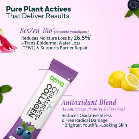 Oziva Phyto Ceramide+ Collagen For Skin Barrier Repair - Blueberry 30 Sachet