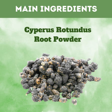 Al-Ayurvedic Life Nagarmotha Powder/Cyperus Rotundus Powder 1 Kg Value Pack Of 5