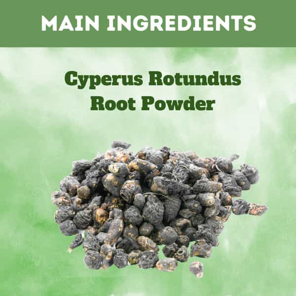 Al-Ayurvedic Life Nagarmotha Powder/Cyperus Rotundus Powder 1 Kg Value Pack Of 5