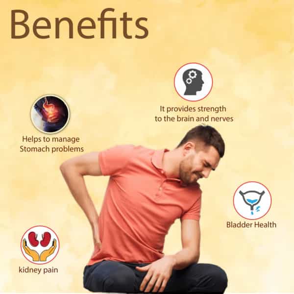 Cipzer Falshifa 30 Capsules | Supports Kidney Health & Joint Comfort