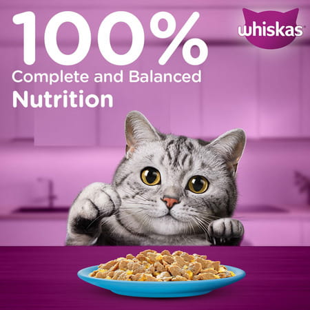 Whiskas Adult (1+ Years)) Wet Cat Food | Tuna In Jelly | 80 G (Pack Of 56)