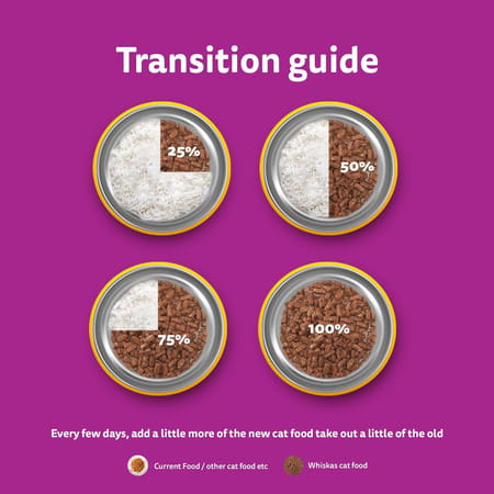 Whiskas Adult (1+ Years)) Wet Cat Food | Tuna In Jelly | 80 G (Pack Of 56)