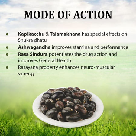 Uma Ayurveda Jivantarang Tablet Ayurvedic Tablets 30 Tab