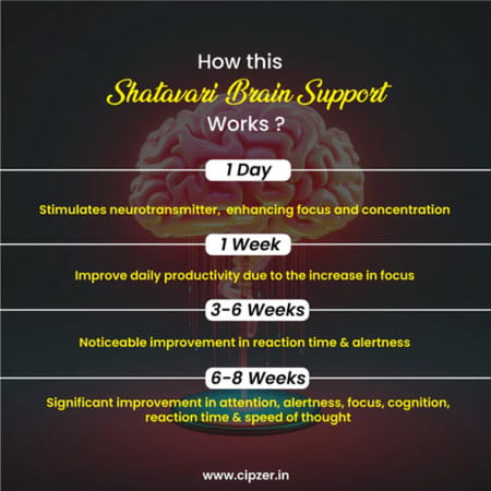 Cipzer Shatavari Capsules | Beneficial For The Memory And Brain Health.