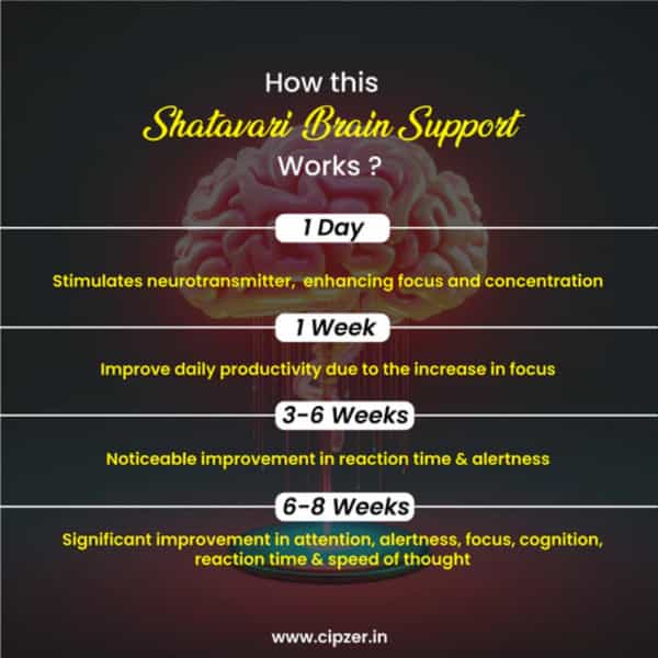 Cipzer Shatavari Capsules | Beneficial For The Memory And Brain Health.