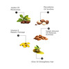 The Beard Story Paraben Free Beard Oil With Vit E Argan Oil For Soft | Shiny | Itch-Free Beard 50Ml