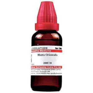 Dr. Willmar Schwabe India Blatta Orientalis Dilution 200 Ch 30 Ml