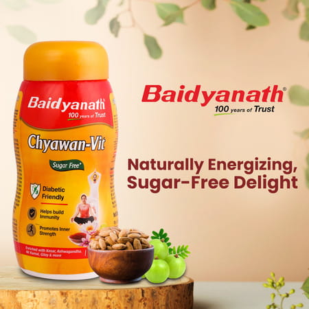 Baidyanath Sugarfree Chyawan Chyawanprash-Vit | Amla Ashwagandha & Almonds | No Added Sugar - 500g