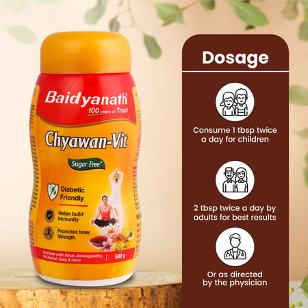 Baidyanath Sugarfree Chyawan Chyawanprash-Vit | Amla Ashwagandha & Almonds | No Added Sugar - 500g