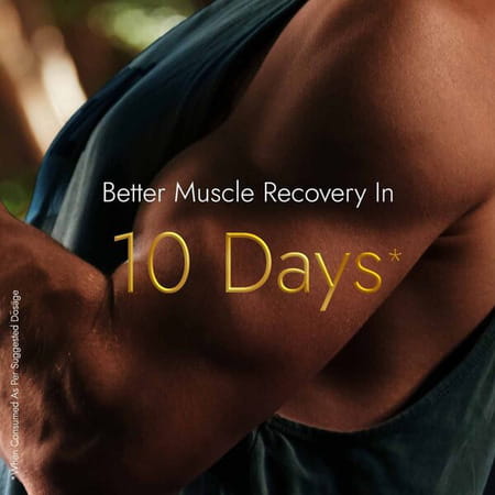 Kapiva Him Foods Shilajit Gold Resin 20gm + Kapiva Him Foods Testofuel Shilajit Whey-1kg Chocolate