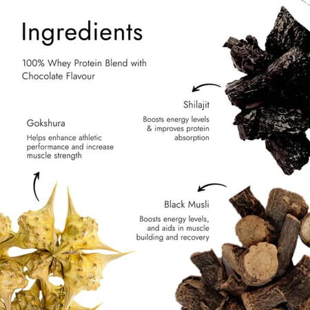 Kapiva Him Foods Shilajit Gold Resin 20gm + Kapiva Him Foods Testofuel Shilajit Whey-1kg Chocolate