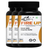 Fire Up Health Wellness Energy Capsule For Men For Strength & Power 100% Ayurvedic (45 Capsules)