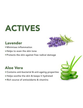 Skivia Lavender Body Wash With Grapeseed | Basil & Mulethi - 200 Ml (200 Ml)