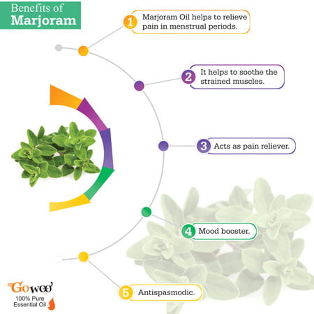 Go Woo 100% Pure Marjoram Oil Therapeutic Grade & Aromatherapy For Skin Care 50 Ml