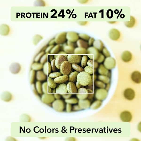 Drools Adult Dry Dog Food 4.2Kg