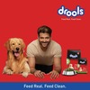 Drools Adult Dry Dog Food 4.2Kg