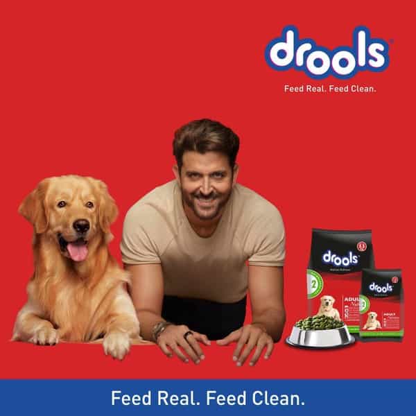 Drools Adult Dry Dog Food 4.2Kg