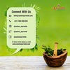 Axiom Giloye Neem Juice For Immunity Booster|Helps In Purifies Blood & Clears Skin -500Ml
