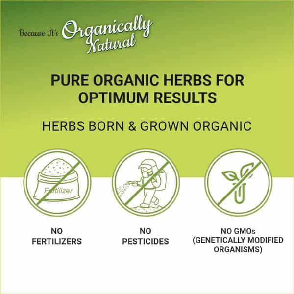 Indus Valley Organically Natural Damage Free Gel Hair Color-Copper Mahogany