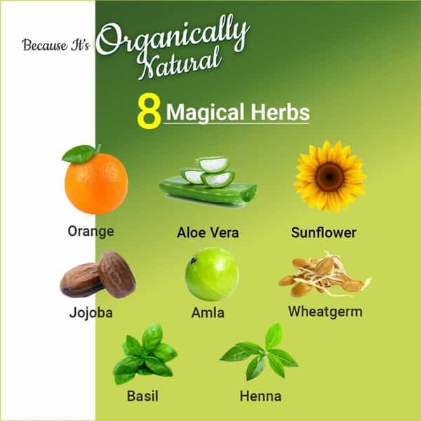 Indus Valley Organically Natural Damage Free Gel Hair Color-Copper Mahogany