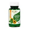 Nutree Pure Papaya Extract For ( Immunity Boost And Platelet Count ) Tablet 30