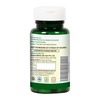 Nutree Pure Papaya Extract For ( Immunity Boost And Platelet Count ) Tablet 30