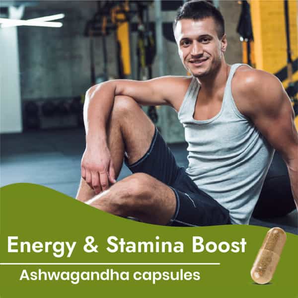 Cipzer Ashwagandha Capsule 60