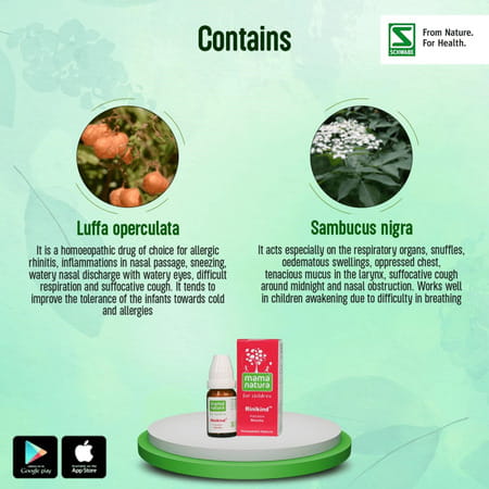 Dr. Willmar Schwabe India Rinikind 10gm