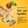 Saffola Masala Oats Tasty Evening Snack Classic Masala 500 Gm